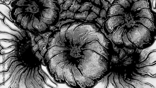 Black ink blooming flowers on white background
