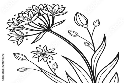 Foto coloring page line art the hardy begonia flower black vector