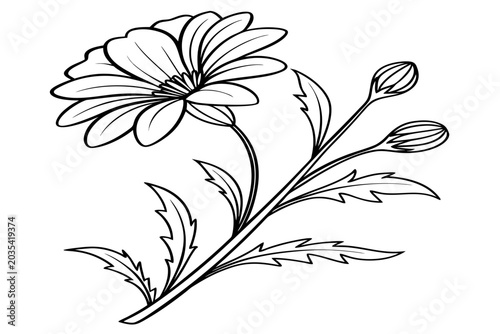 Tableau sur toile coloring page line art the hardy begonia flower black vector