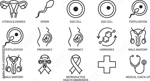 Bild auf Leinwand black and white line icons of reproductive health and medical concepts