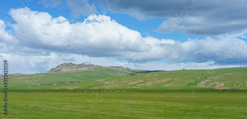 Mongolia. Grasslands full of cattle and some yurts in the distance 