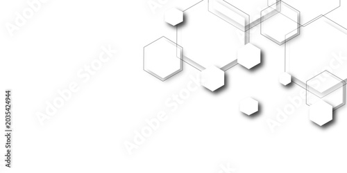 Abstract gray hexagon shape for frame illustration design. Hexagon Beehive honeycomb pattern wall ash and white. Simple abstract modern background White geometric hexagonal honeycomb shape texture bg.
