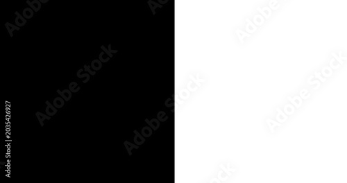 Obraz na płótnie Abstract Black and White Motion Background Horizontal Format with Smooth Moving