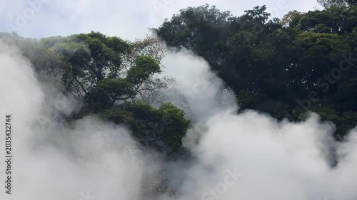 Thick geothermal steam rises from the hot spring at Umi Jigoku. Heavy volcanic vapor covers the lush green hillside in Beppu. Hot mist billows continuously over the tropical trees.