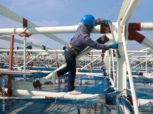 Construction workers wearing protective harnesses use torque wrenches to tighten bolts, highlighting precision engineering, structural steel installation and professional construction practices.