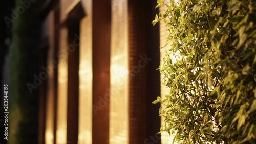architecture facade reflected tiles in golden morning sunlight garden