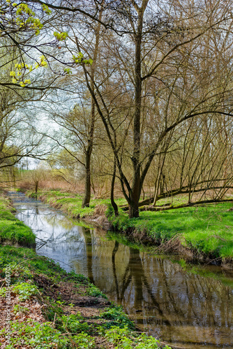 Brook Ricanka in Uhrineves, Prague