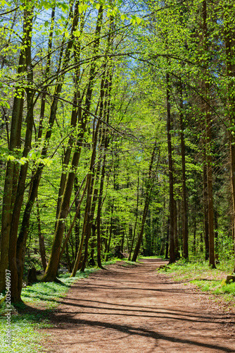 Footpath between Senohraby and Ctyrkoly