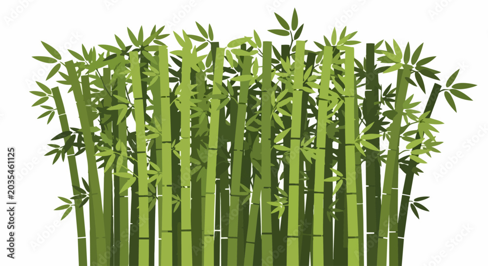 Obraz premium Bamboo Forest Grove Illustration with Green Stalks and Leaves on White Background - Stylized Nature Vector for Spa, Wellness, and Eco-Friendly Design