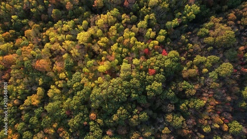 4k aerial over Vermont forrest in the fall