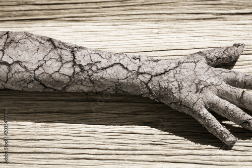 Cracked clay arm on weathered wood plank, high contrast sunlight and sharp shadow, minimalist composition with empty copy space