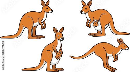 Bild auf Leinwand Kangaroo cartoon vector illustration set featuring cute Australian marsupial cha