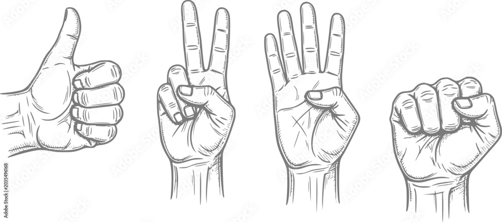 Fototapeta premium Hand gestures thumbs up, peace, four fingers, and fist