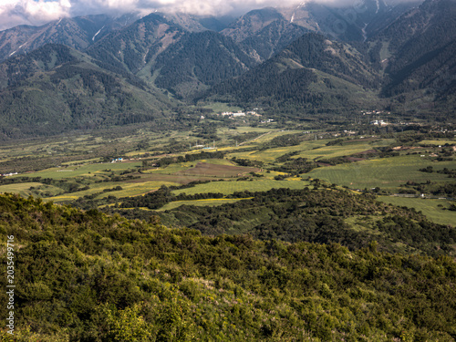Landscape Kazachstan, mountain, trees, forest, green, hause, alps, clubs, 