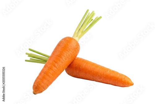 Two fresh orange carrots with green stalks