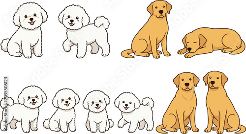 Obraz na plátně Cute bichon frise and golden retriever dog cartoon vector illustration set featu