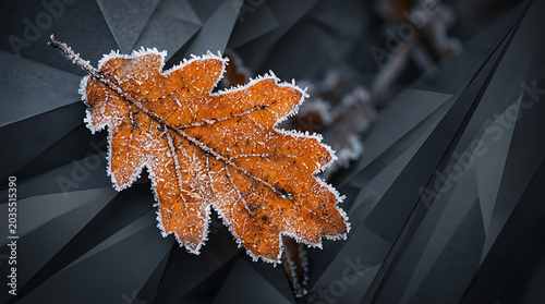 Frosted oak leaf on geometric background