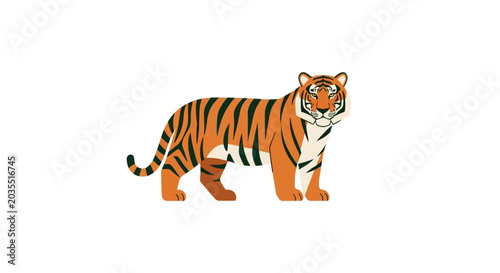 Tiger standing in orange and black.