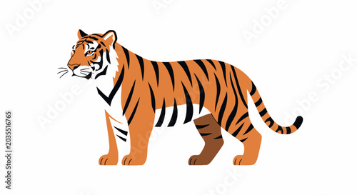Tiger walking in profile view.