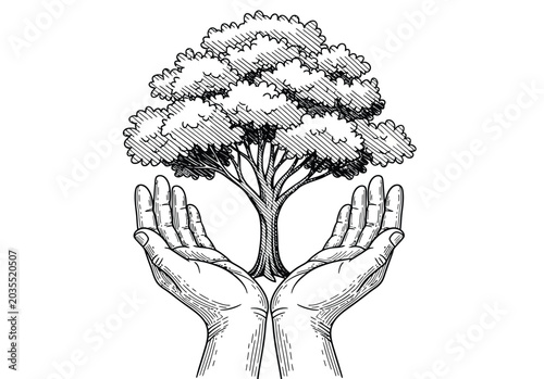Quadro su tela Environmental protection concept showing human hands cradling healthy leafy tree drawn in artistic woodcut style representing nature conservation efforts