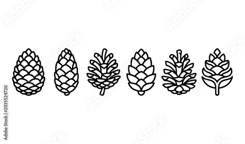 Set of different pine cones elements in a row vector