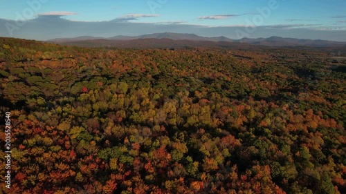 4k aerial over Vermont forrest in the fall
