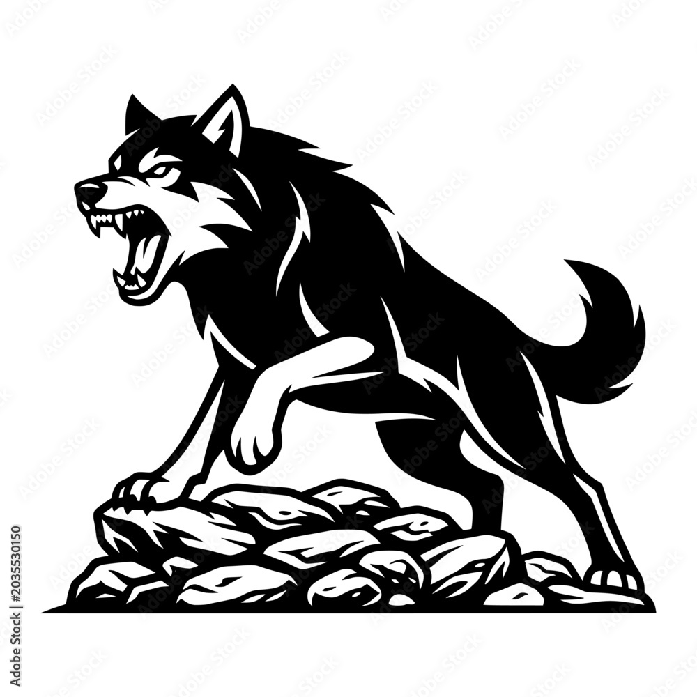 Fototapeta premium An aggressive wolf snarling on rocky terrain, showcasing primal instinct and the wild nature of predators.