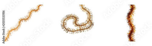  Gold tinsel decorative strand, isolated on transparent background