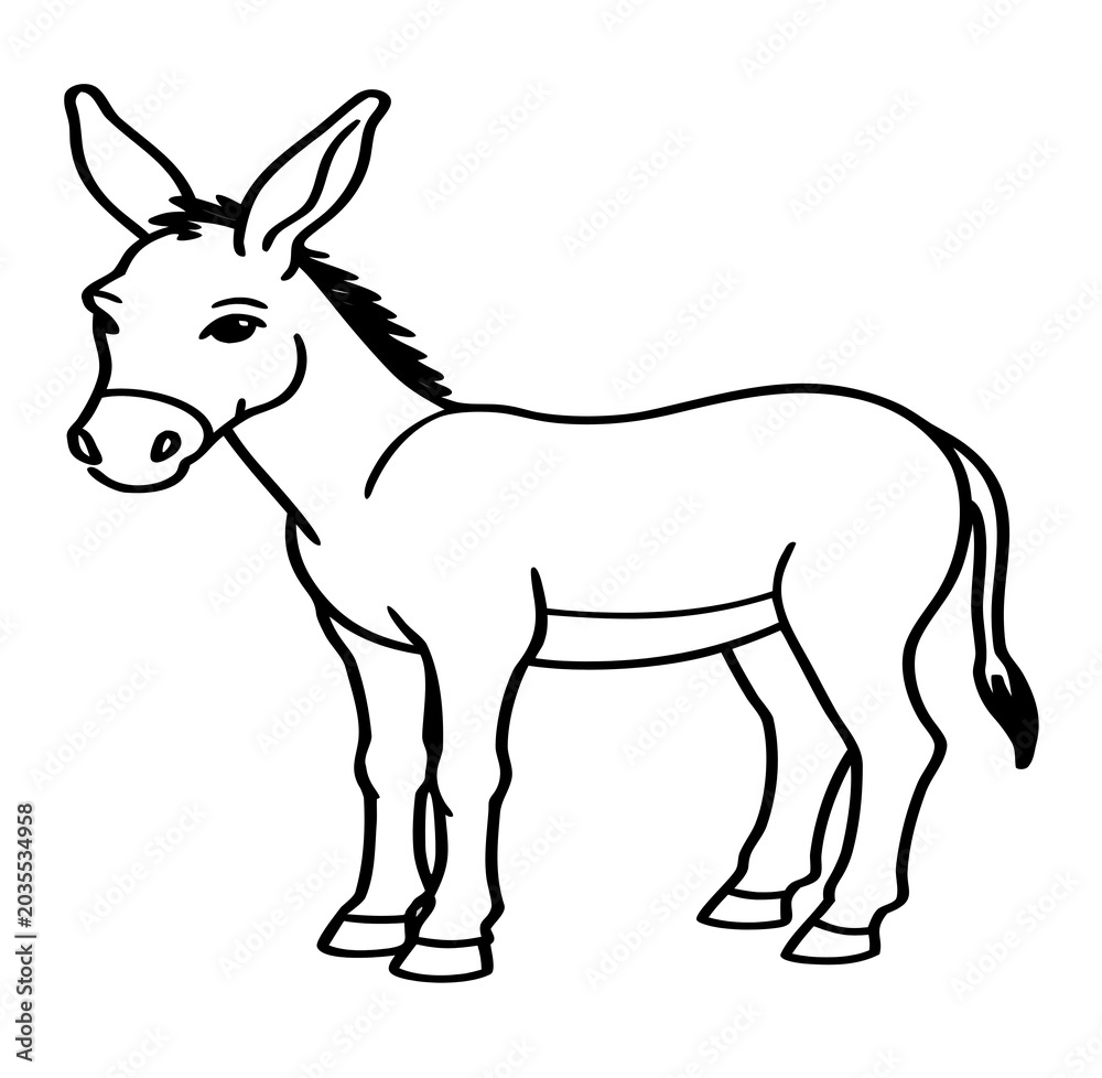 Fototapeta premium donkey isolated on white