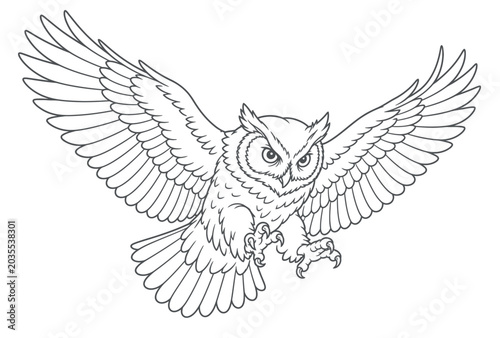 Εκτύπωση καμβά Owl in Flight with Wings.