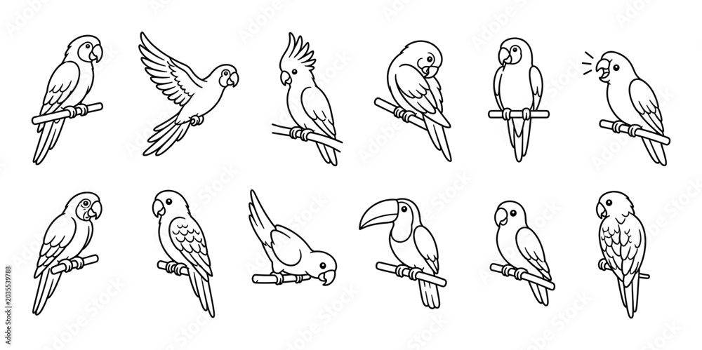 Obraz premium Parrot macaw cockatoo toucan birds in various poses line art icon set, vector illustration