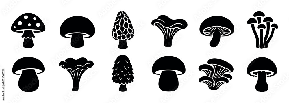 Fototapeta premium Mushroom fungi toadstool morel chanterelle oyster silhouette icons set, black and white vector illustration