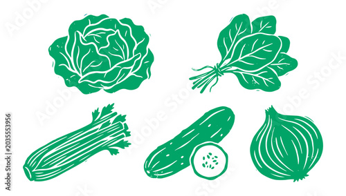 Green vegetables illustrations set including cabbage, lettuce, celery, cucumber, and onion