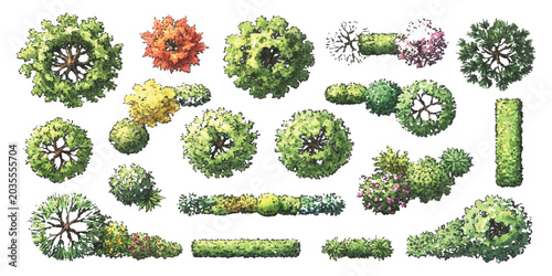 Photos Set of top view trees and garden hedges for landscape architectural design and f