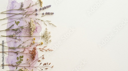 Dried Wildflowers and Herbs on Watercolor Paper Background