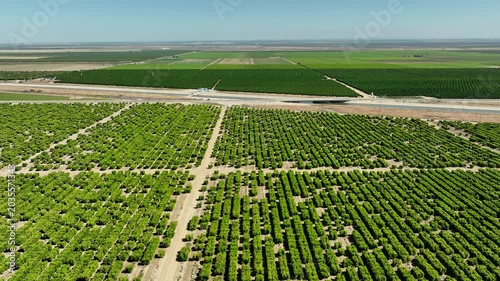Aerial of farms along an aqueduct running through California's Central Valley north of Los Angeles.