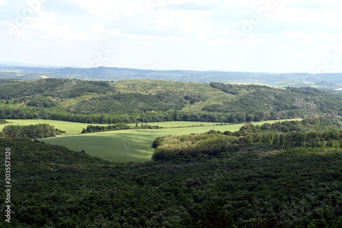 lush green farm land in the spring. rural wheat field surrounded by forests. tractor tracks in the crop. lush green hills. blue sky and white clouds. panoramic landscape image.