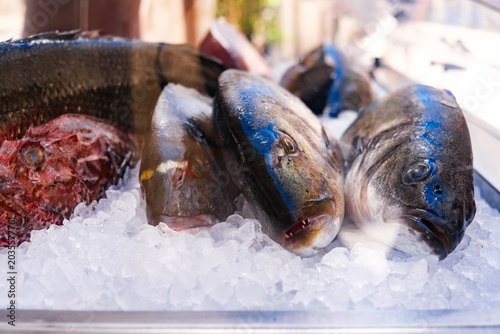 Bild auf Leinwand Several whole fish, including sea bream and a red scorpionfish, are presented on