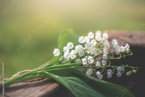 Foto Lily of the valley bouquet with delicate white bell flowers and green leaves res