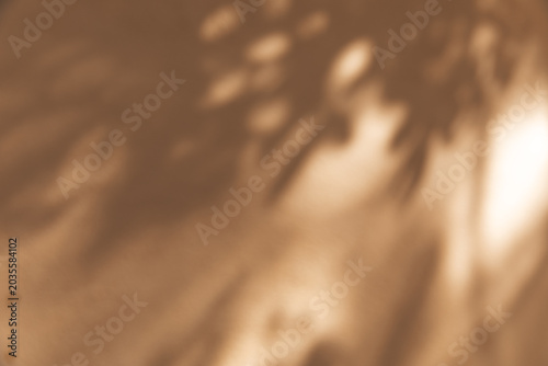 Принти на полотні Dappled sunlight through leaves creates a soft pattern on an ochre plaster wall