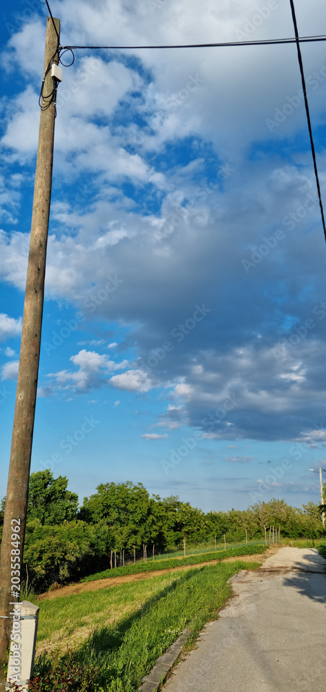 Obraz premium A tall wooden utility pole stands beside a narrow asphalt road winding through the green hills of Gornje Psarjevo village under a cloudy blue sky