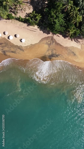 Aerial view of a tropical beach with beach umbrellas beside rainforest