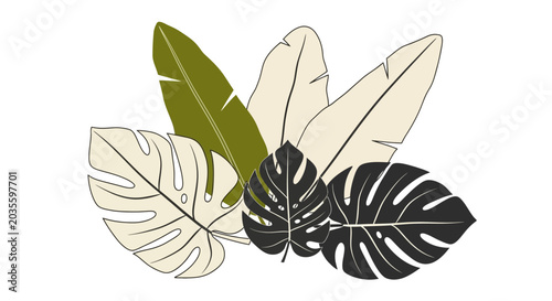 Tropical Monstera and Banana Leaves Vector Illustration