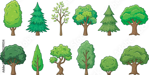 Tableau sur toile Set of green trees with leaves in a natural forest environment