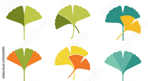 Ginkgo Biloba Leaf Icon Set