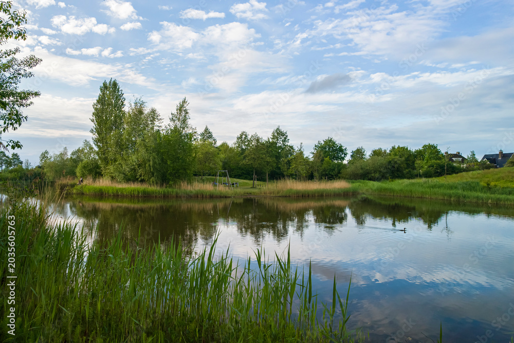 Fototapeta premium A scenic view of a quiet pond reflecting a blue sky with clouds in a green park