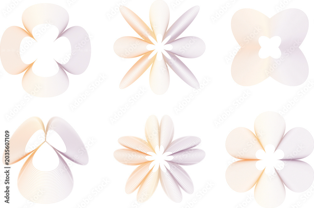 Fototapeta premium White Frangipani Plumeria Flowers Isolated on White Background