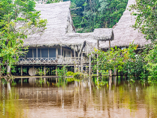 Plakat Amazonia