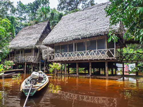 Plakat Amazonia