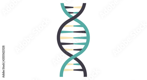 Photography DNA Double Helix Vector Illustration